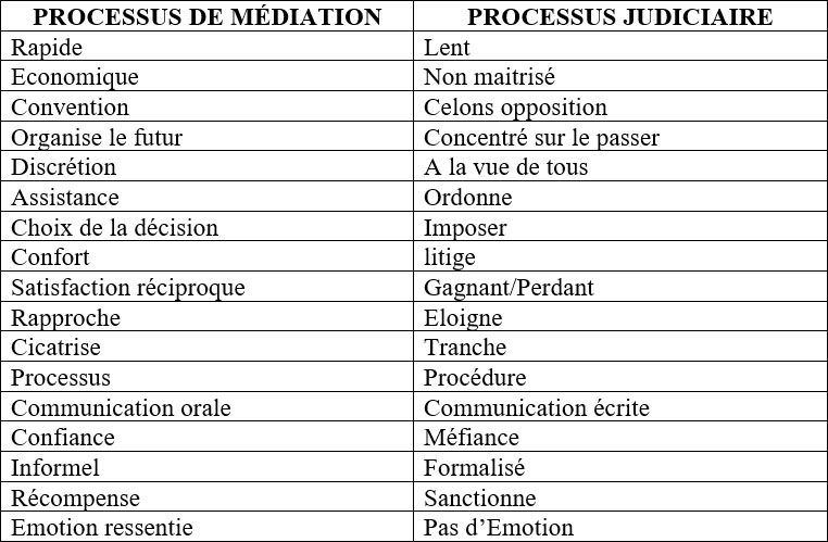 Rapide	Lent Economique	Non maitrisé Convention	Celons opposition Organise le futur	Concentré sur le passer Discrétion	A la vue de tous Assistance	Ordonne Choix de la décision	Imposer Confort	litige Satisfaction réciproque	Gagnant/Perdant Rapproche	Eloigne Cicatrise	Tranche Processus	Procédure Communication orale	Communication écrite Confiance	Méfiance Informel	Formalisé Récompense	Sanctionne Emotion ressentie	Pas d’Emotion